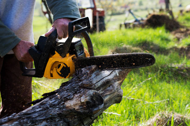 Lawn Watering Services in Clay, KY
